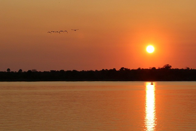 Zambia zambia football - sunset, zambia, zambezi, water, landscape, dusk, wild, safari, evening, wilderness, africa, river, sky, victoria, vacation, holiday, sunrise, birds, nature, orange sky, orange water, orange landscape, orange sunrise, orange birds, orange river
